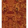 Folia Transferowego Druku Wodnego GW2251