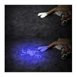 Mini latarka przenośna typu Lampa UV