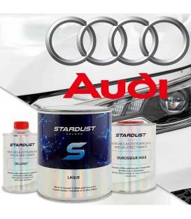 More about Kod koloru Audi - 2K lakier w sprayu lub puszka z utwardzaczem
