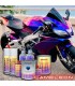 MOTO Kit complet Peinture Cameleon (Couleur au choix)
