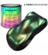 MOTO Kit complet Peinture Cameleon (Couleur au choix)