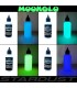 4 x 50ml Set Complet couleurs phosphorescentes