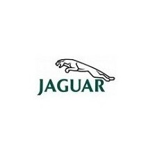 Lakiery Jaguar - wszystkie kody kolorów