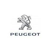 Lakiery do Peugeot, warstwa bazowa 1C i lakier błyszczący