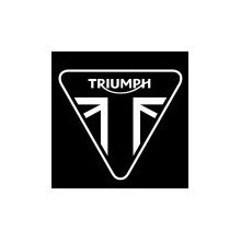Lakiery TRIUMPH – wszystkie kody kolorów